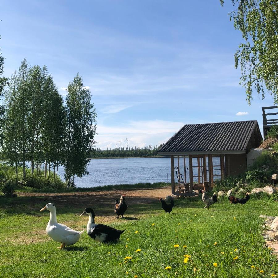 Beautiful Rural Experience With Reindeer Villa Tervola Ngoại thất bức ảnh